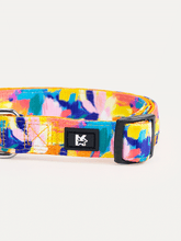 Dog Collar - Sunset Floral Splash